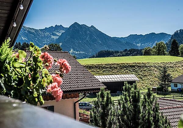 Appartement - Aussicht