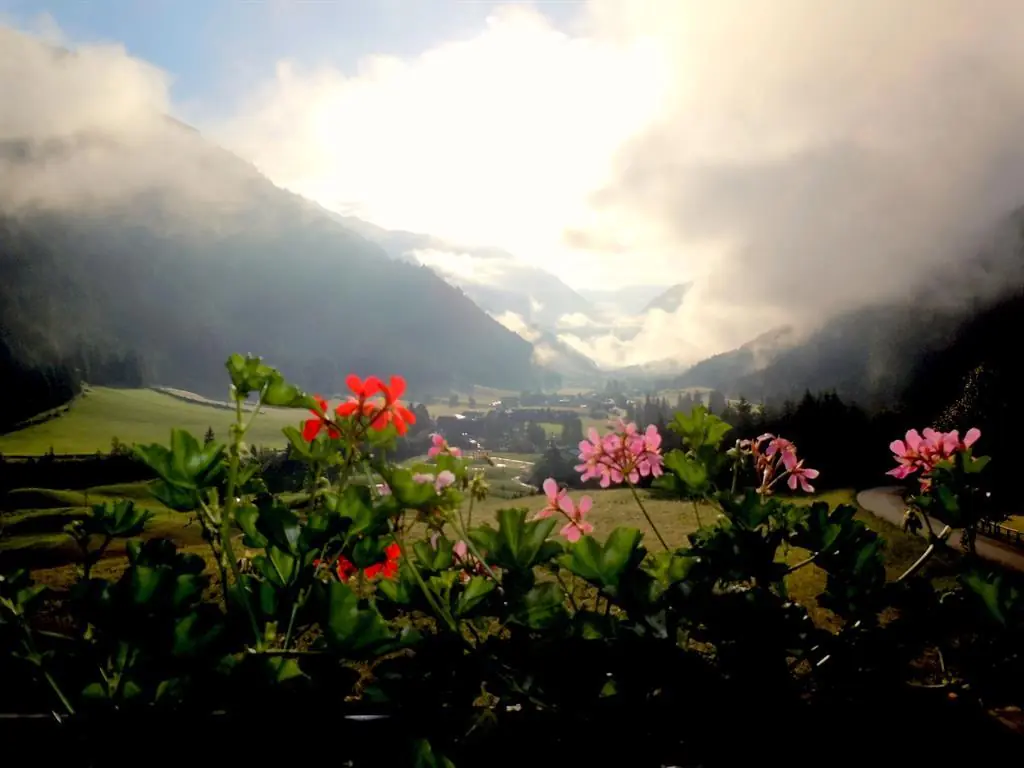 Ausblick Sommer