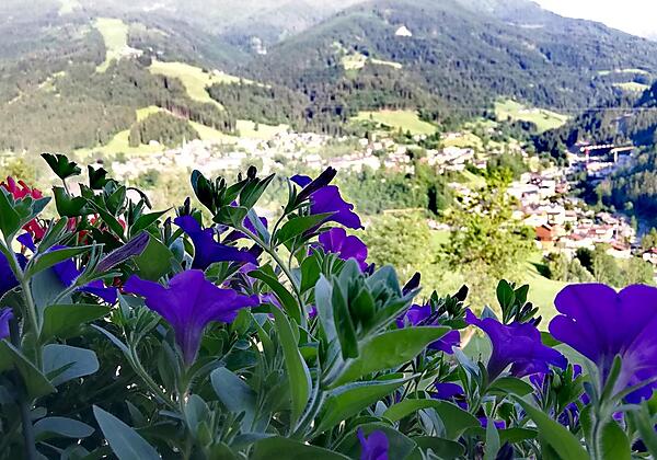 Aussicht Grießenkar Wagrain