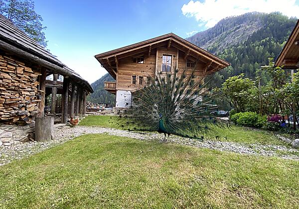 Grand Chalet Eggerfeld IMG_3324