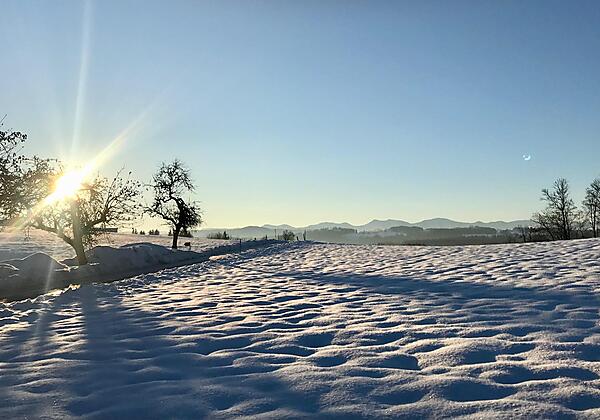 Winterliche Morgenstimmung