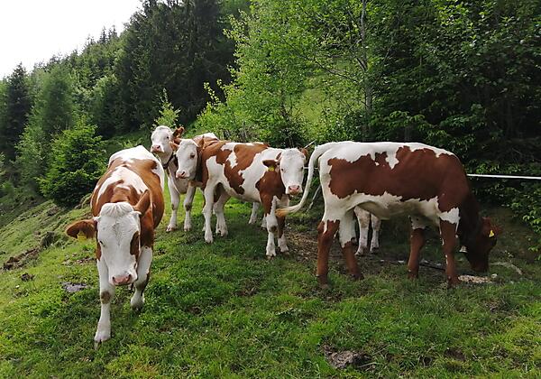 IMG_20210609_145339_resized_20230608_043629613