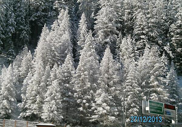 Hausbilder Hirschenhof 028