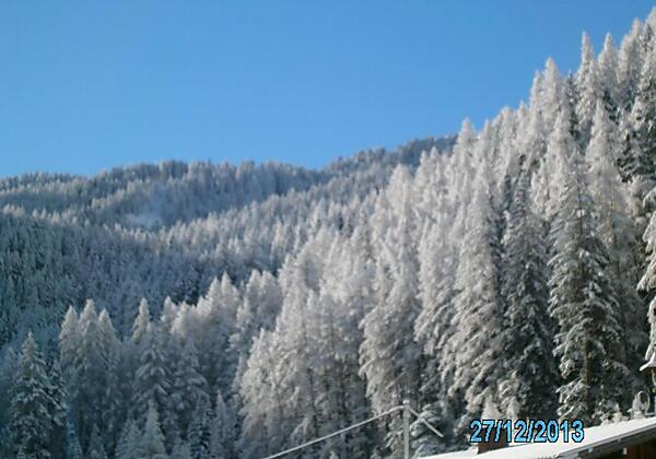 Hausbilder Hirschenhof 030