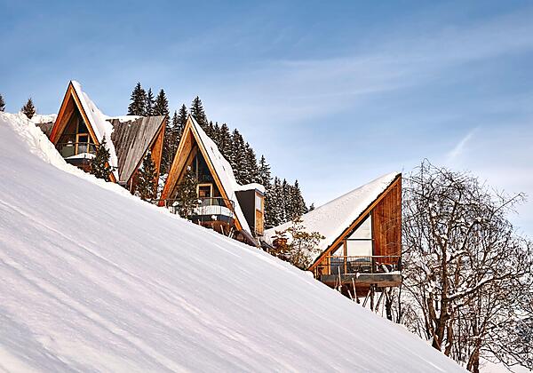 2023-12_ZS_Treeloft_M4