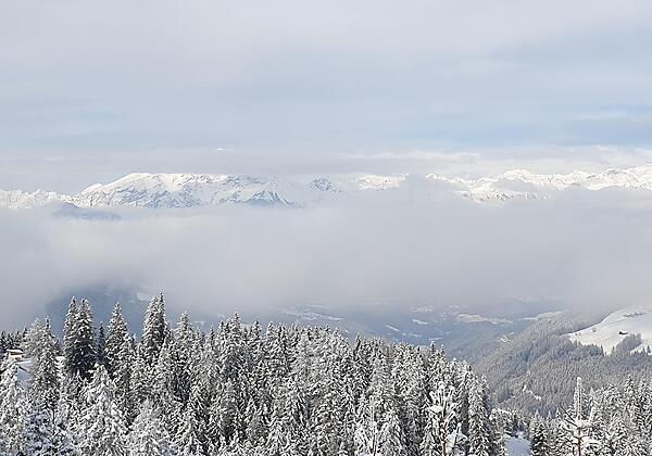 Blick  zur Nordkette