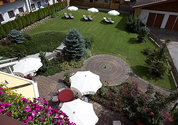 neues Gartenfoto Edelweiß