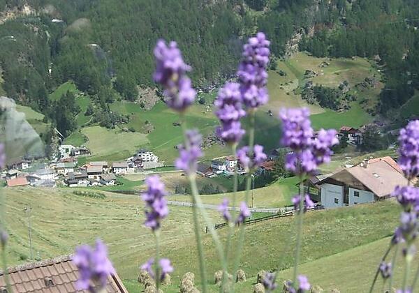 Landschaft im Sommer