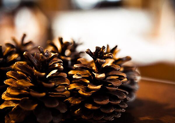 Hotel Eschenhof Stubai Tirol