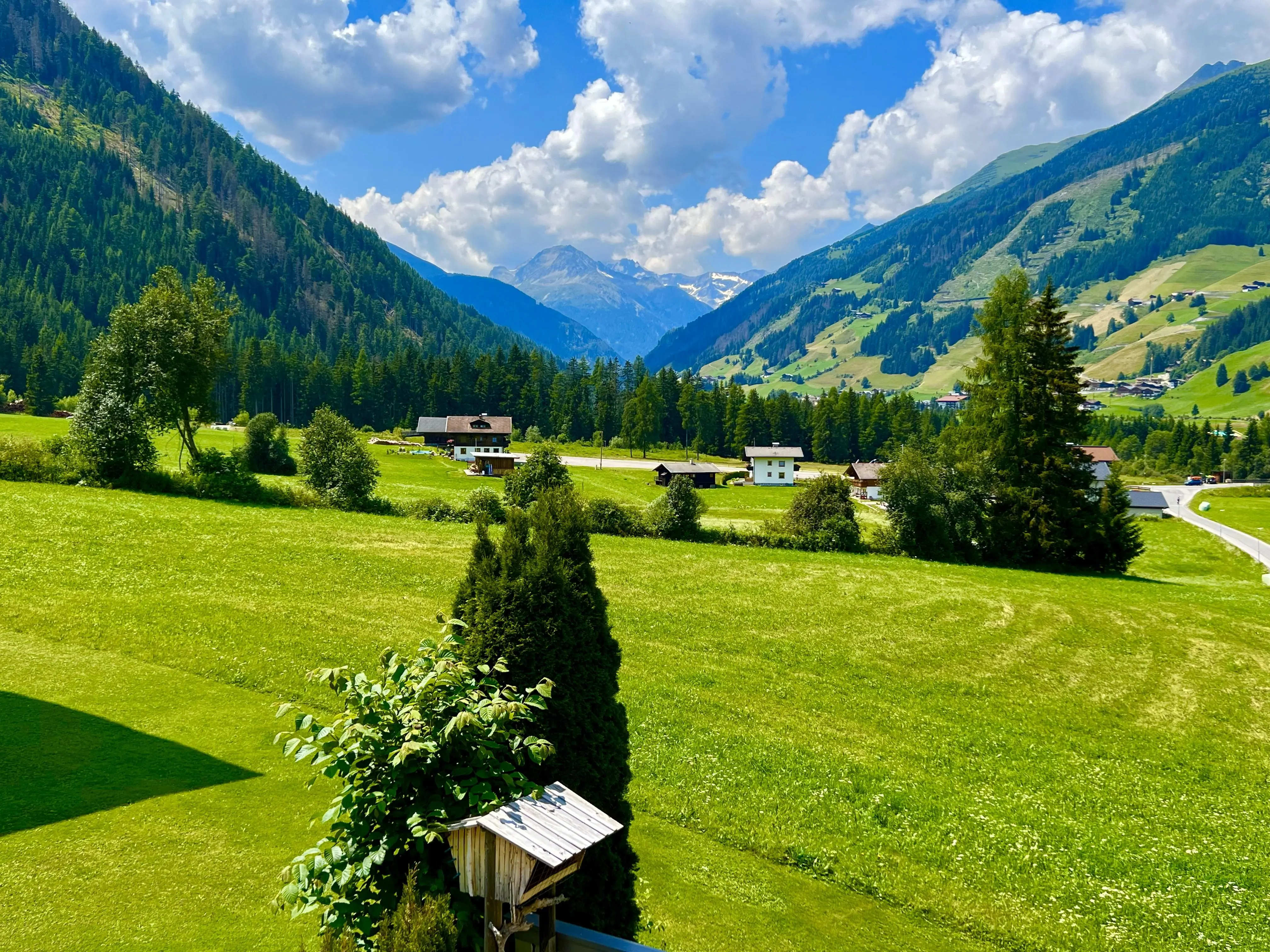 Ausblick