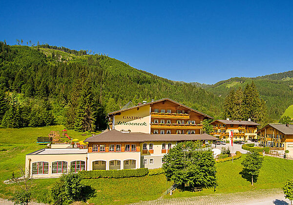 Blick auf das Hotel Wieseneck in Flachau im Sommer