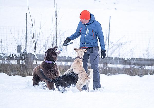 Dogsitting im Winter-min