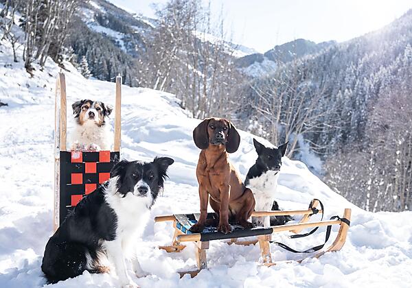 Grimming im Schnee-2-min