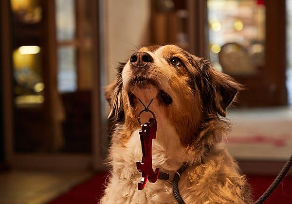 Grimming_Check in-min