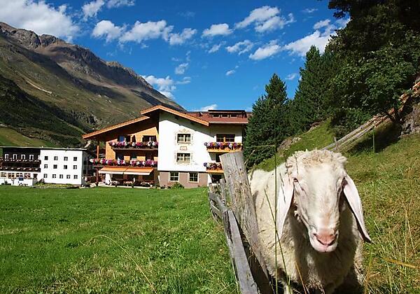 Hausansicht Südseitig mit Schaf