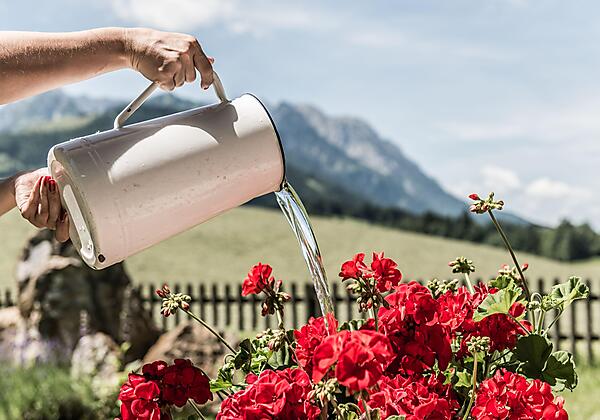 Hotel Riedl_Sommer_Kössen_Kaiserwinkl (c) Florian