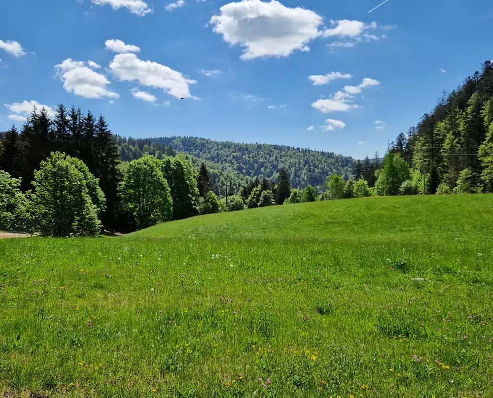 Hotel Schwarzwald-Resort Rößle