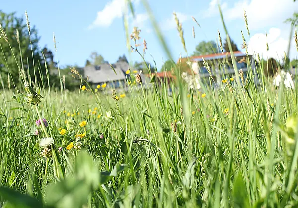 Hotel Schwarzwald-Resort Rößle