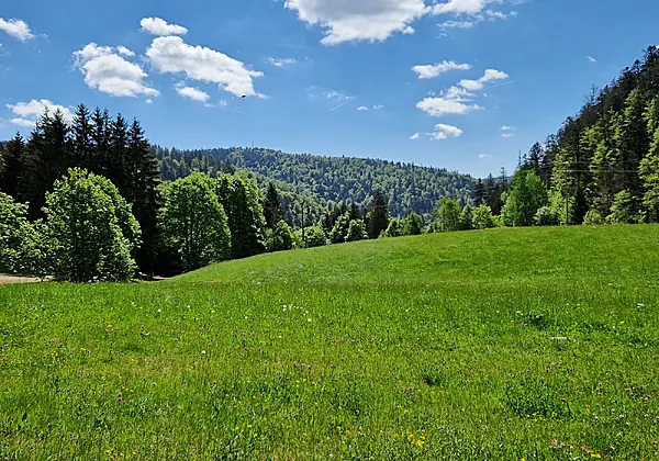 Hotel Schwarzwald-Resort Rößle