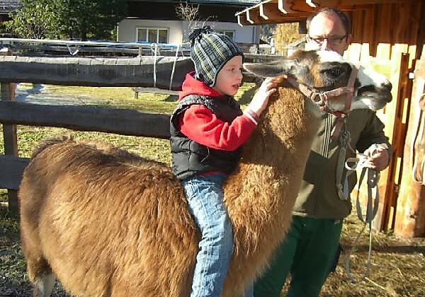 Moritz reitet auf Ninjo