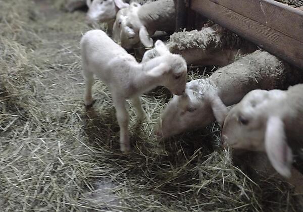 IMG_20220212_180352554_PORTRAIT