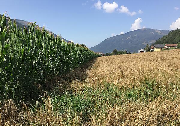 3EA2F9E2-B07D-482D-9D96-F41E7A15558D