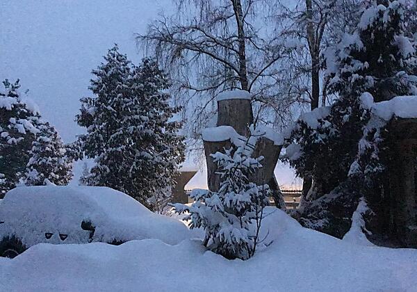 943CBE0C-E6FD-4677-8EED-974D65B0F691