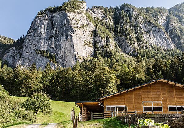 Felswand und Stall