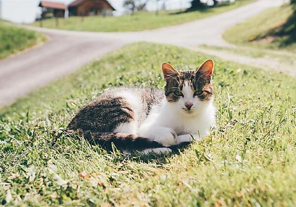 uab_ktn_wiewirleben_anderlebauer_2017__33_