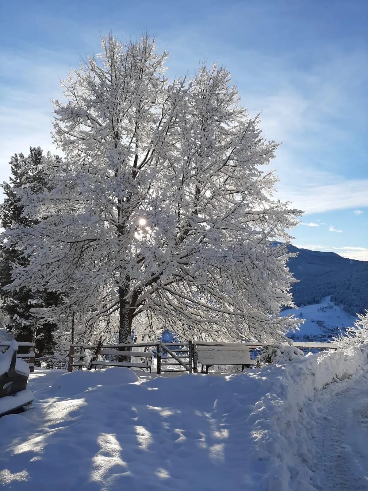 IMG-20210218-WA0018
