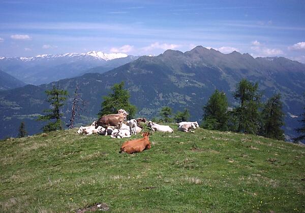 Aussicht auf die umliegende Bergwelt