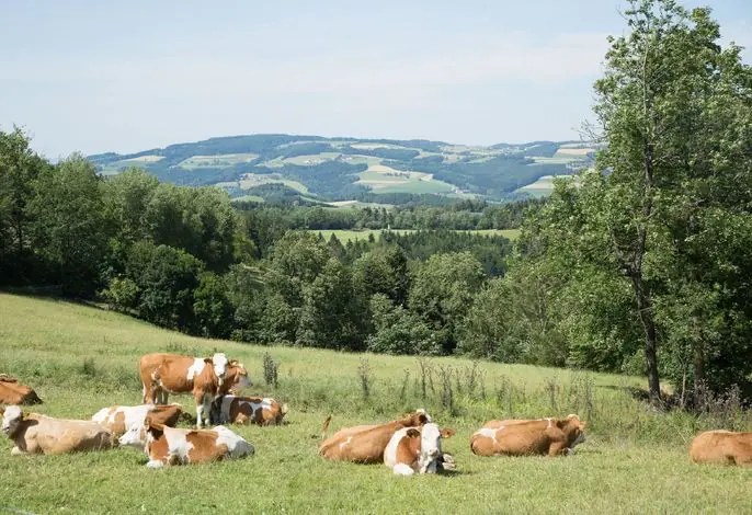 Krumbacherhof Andreas Ottner