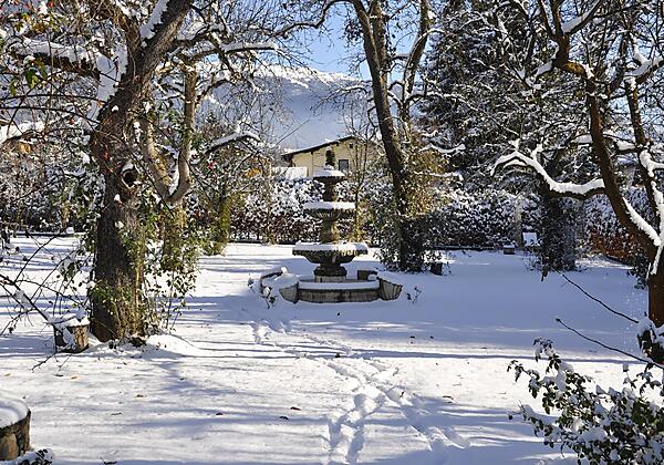 Garten im Winter