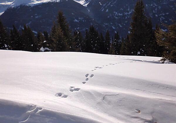 Gartenhaus im Schnee