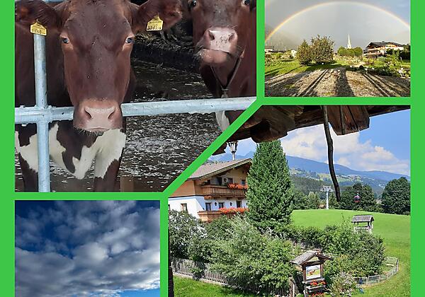 InCollage_20221229_134230471