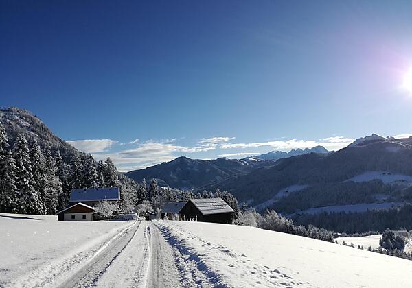 Winter Lammerauhof