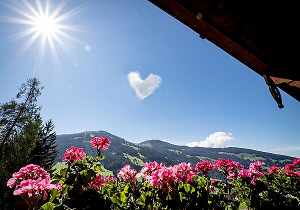 Landhaus_Alpbach_05_09_2023_Appartement_3_Balkon_D