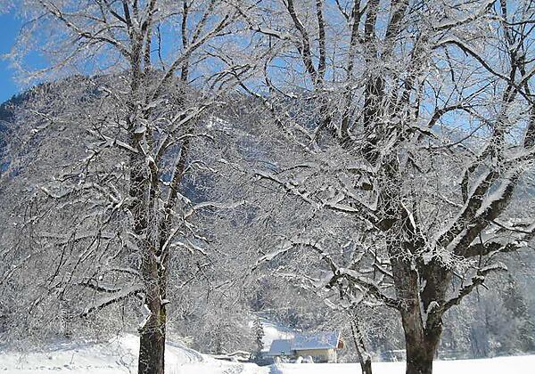 Winter in Faistenau