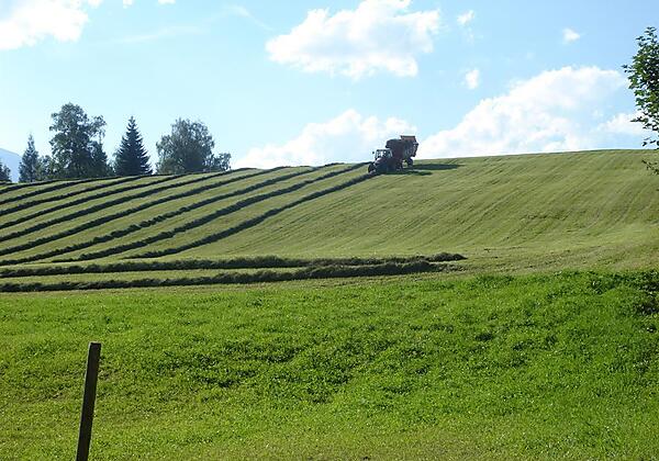 Geigenbühel Wiesen bei Landhaus Frenes