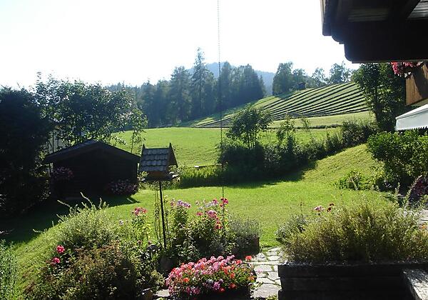 Ausblick Richtung Geigenbühel Frenes Apartments