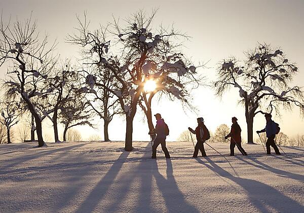 Winterwanderung_web