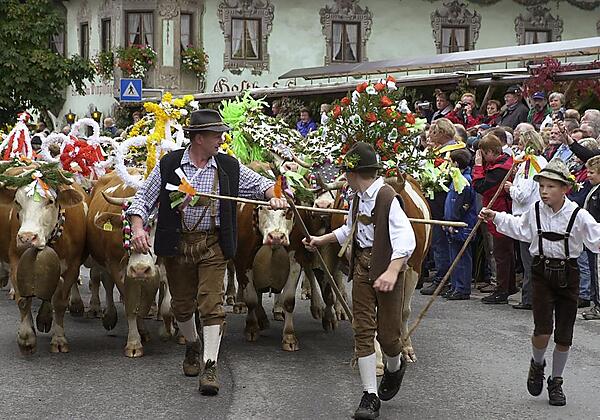 Almabtrieb im Kaiserwinkl