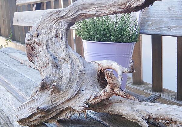 Allgäuer Wurzelwerk