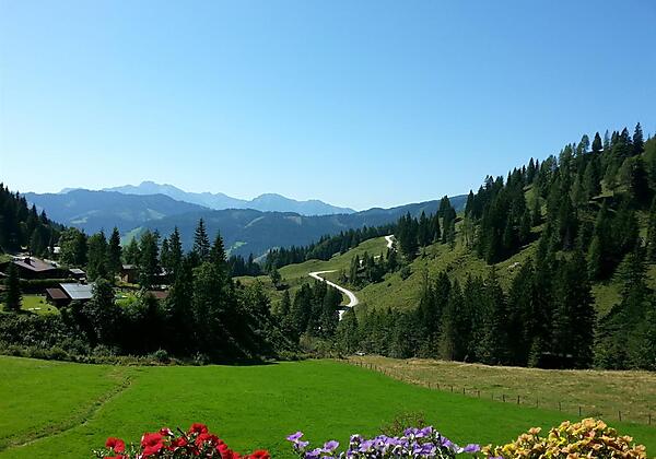 Blick_aus_den_Zimmern