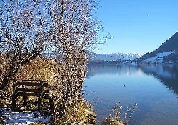 Winterspaziergang am Alpsee