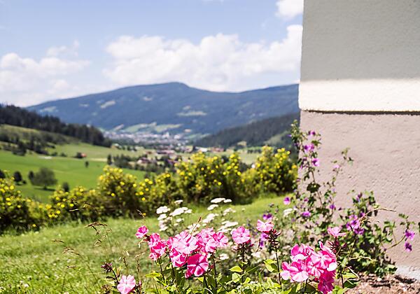 Panoramablick vom Haus