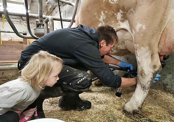 Martin und Lena beim Melken