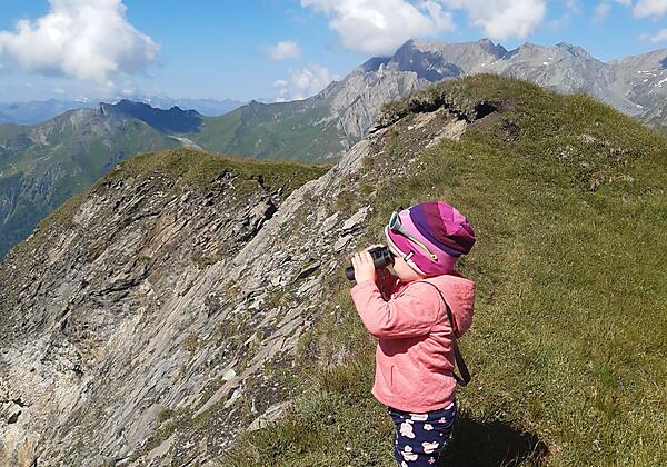 Figerhorn mit Glockner