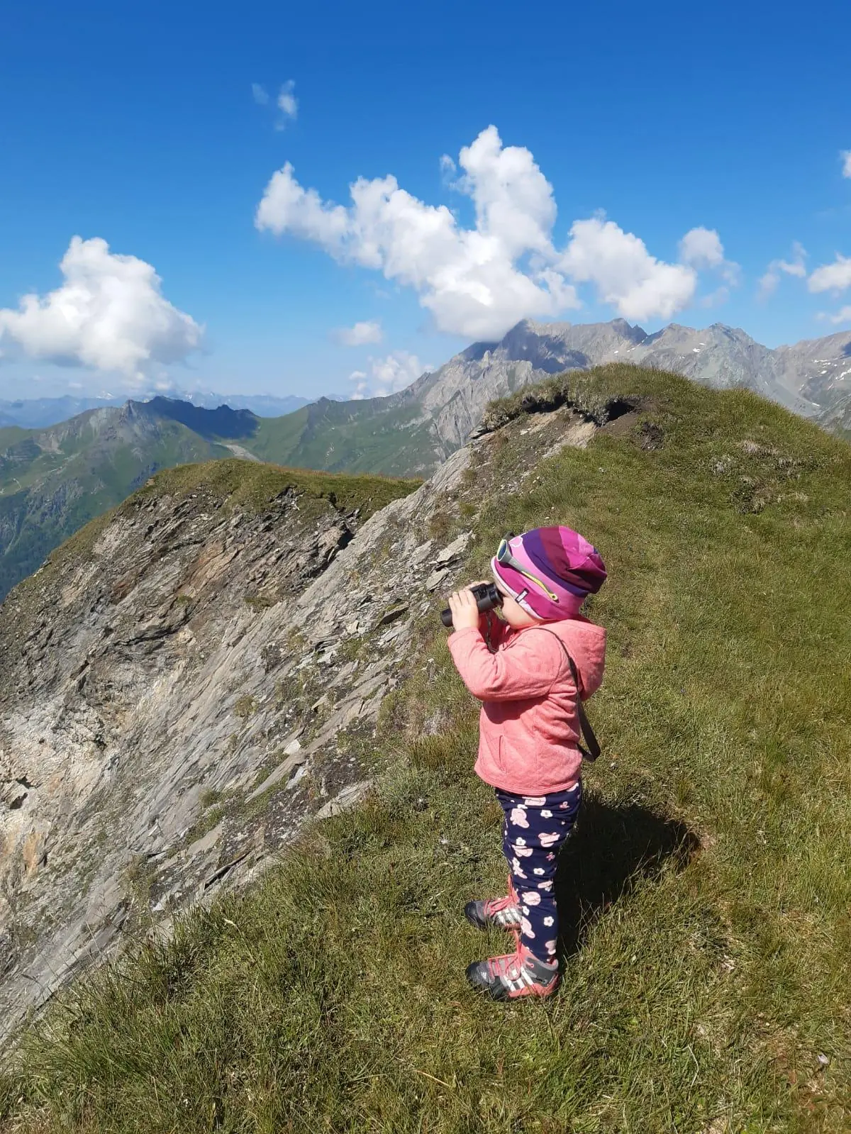 Figerhorn mit Glockner
