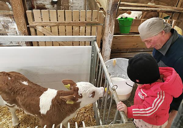 Hans und Lena beim Kälbchen tränken